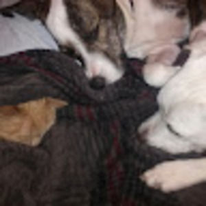 Meet your Posher, Adria